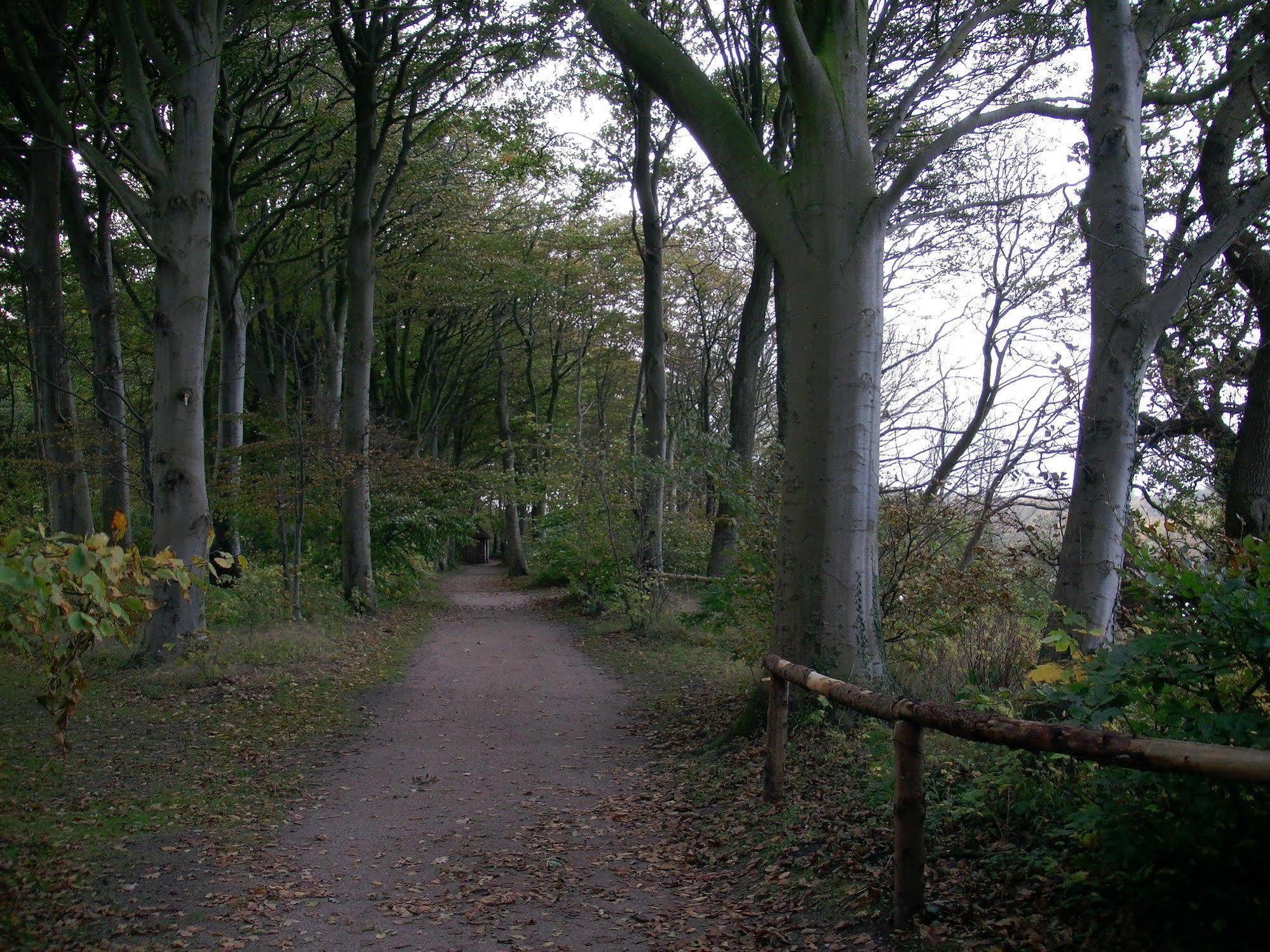 Hindsgavl Slot 4* Middelfart
